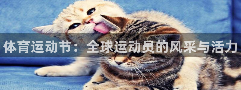 球王会体育：体育运动节：全球运动员的风采与活力