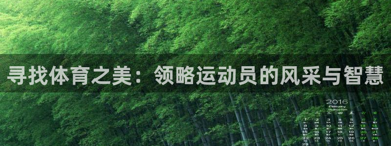 球王会体育：寻找体育之美：领略运动员的风采与智慧