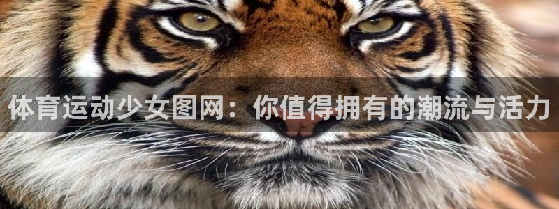 球王会体育：体育运动少女图网：你值得拥有的潮流与活力