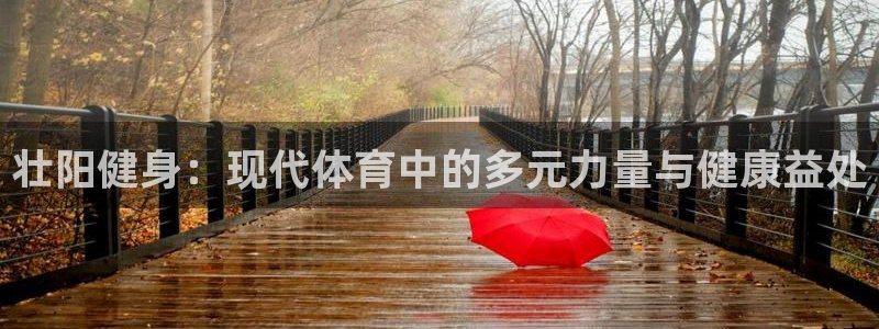球王会体育：壮阳健身：现代体育中的多元力量与健康益处