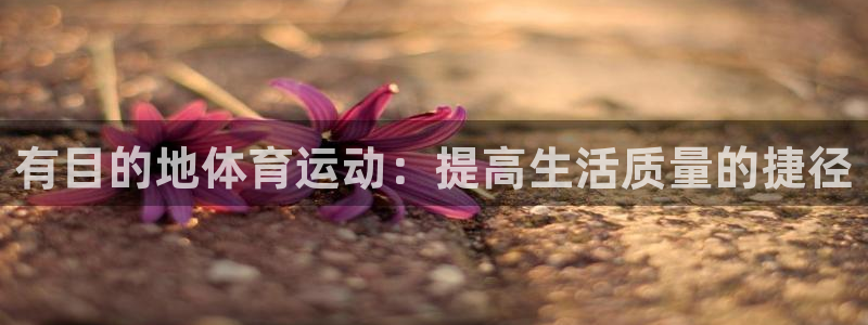 球王会体育：有目的地体育运动：提高生活质量的捷径