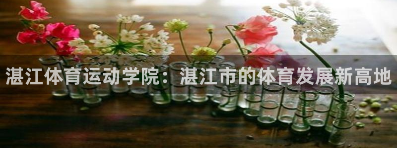 球王会体育：湛江体育运动学院：湛江市的体育发展新高地
