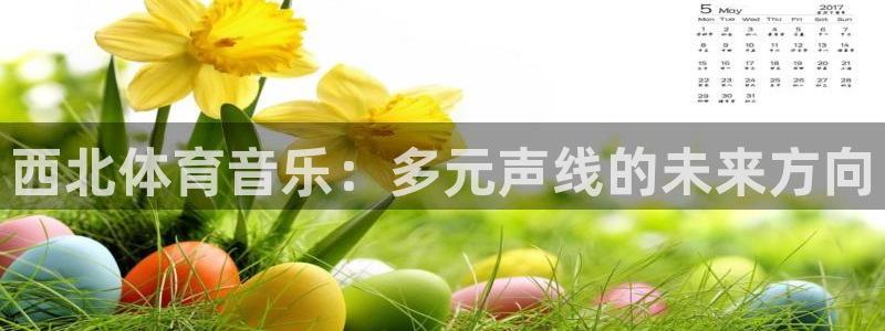 球王会体育：西北体育音乐：多元声线的未来方向