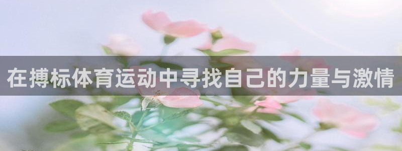 球王会体育：在搏标体育运动中寻找自己的力量与激情